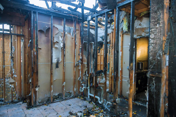 Professional Fire Damage Repair technician working in North Bend, WA